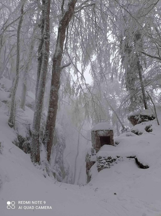 Gite Sechoir Du Nan Cognin-les-Gorges Zewnętrze zdjęcie